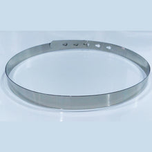 Load image into Gallery viewer, Silver Metallic Saree Belt featured