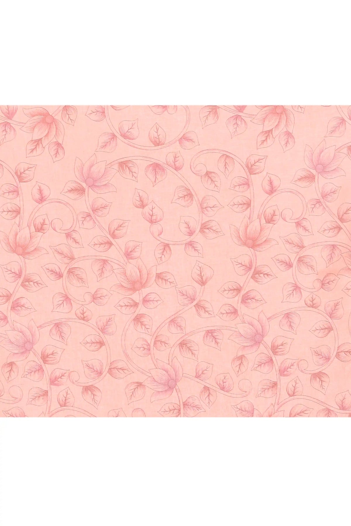 Coral Peach featured