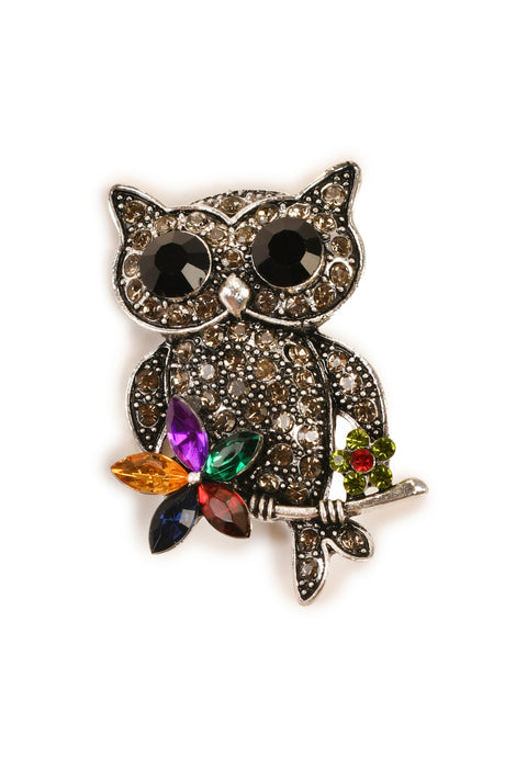 Big Eyed Owl Stone Studded Brooch Brooch