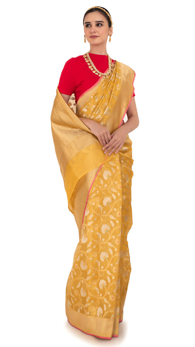 Regal Golden Weave Tissue Kota Saree Saree