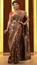 Load image into Gallery viewer, Crazy Chocolate Saree with Silver and Golden Zari Saree