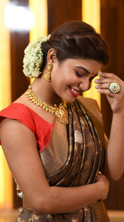 Crazy Chocolate Saree with Silver and Golden Zari Saree