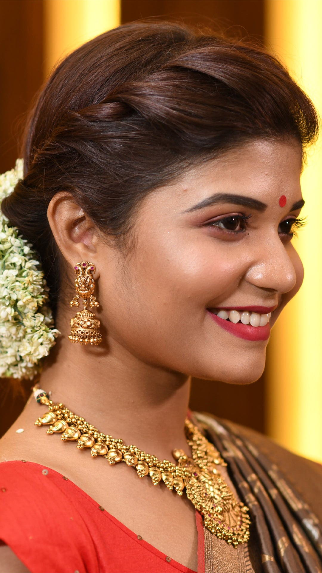 Crazy Chocolate Saree with Silver and Golden Zari Saree