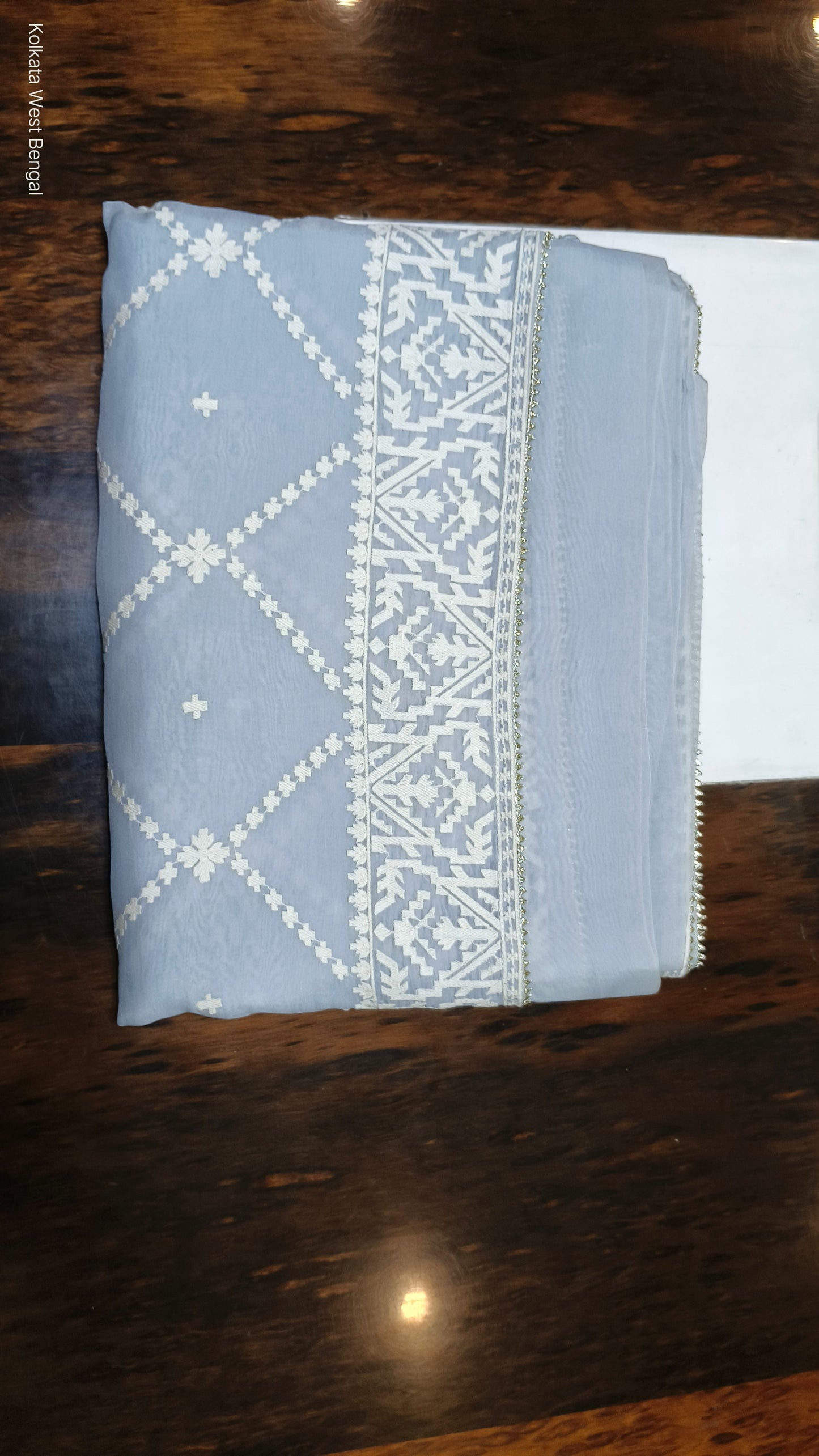 Powder Blue Organza Saree with Threadwork Saree