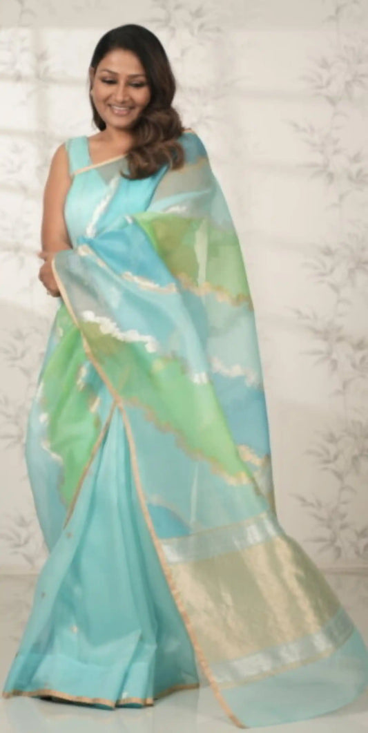 Handwoven Rangkat Banarasi Organza Silk Saree Saree