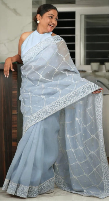 Powder Blue Organza Saree with Threadwork
