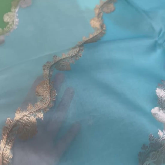 Handwoven Rangkat Banarasi Organza Silk Saree Saree