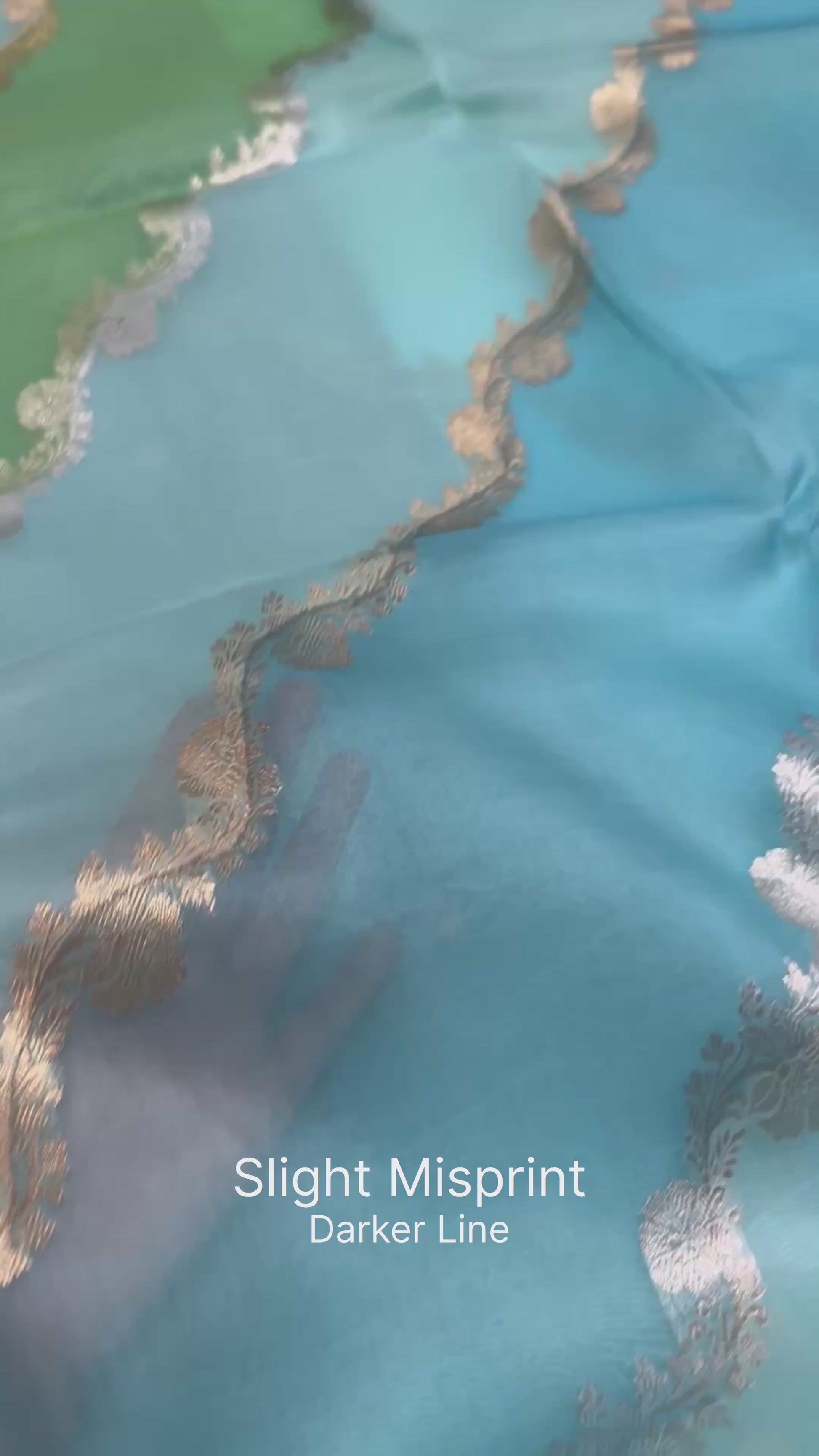 Handwoven Rangkat Banarasi Organza Silk Saree Saree