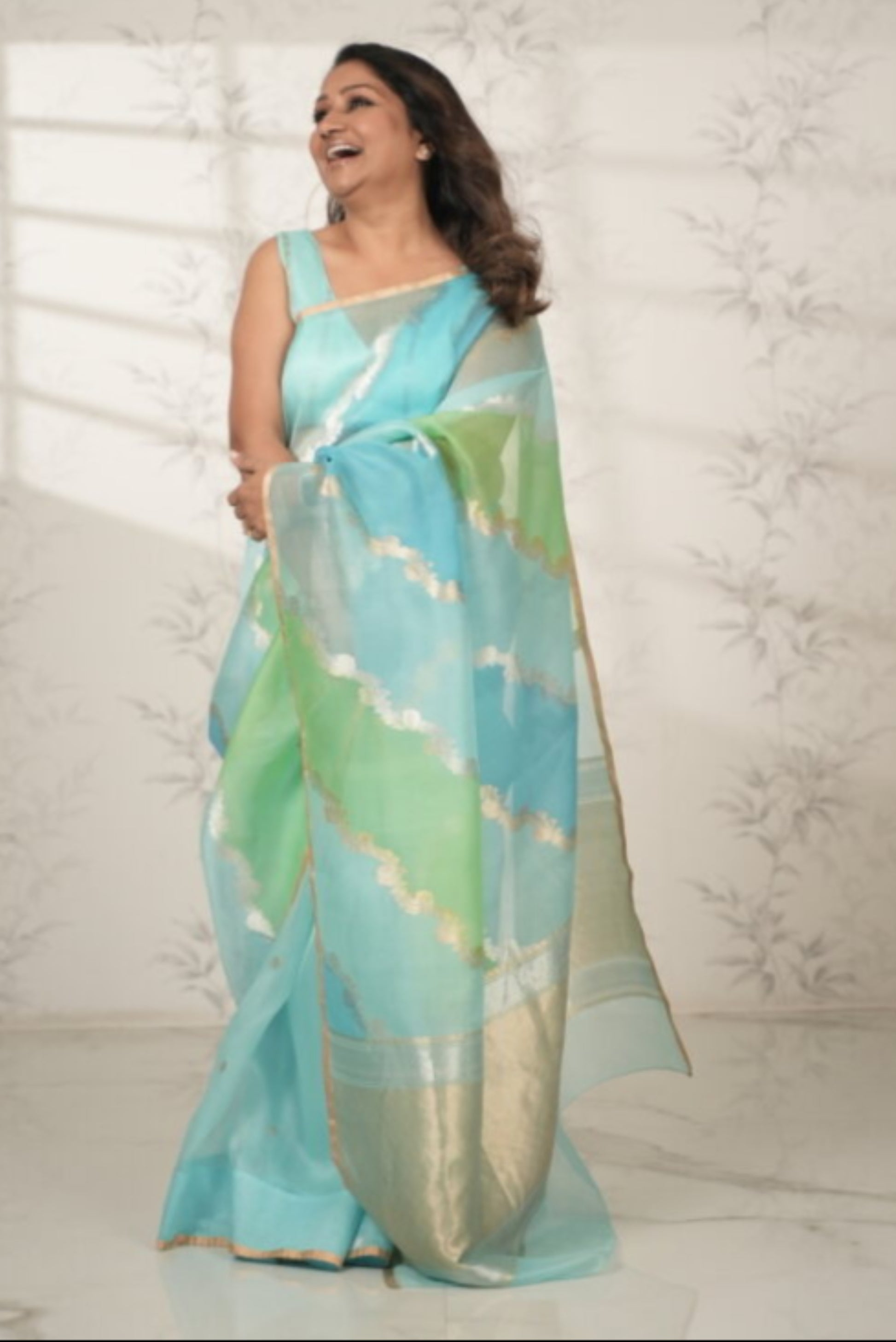 Handwoven Rangkat Banarasi Organza Silk Saree Saree