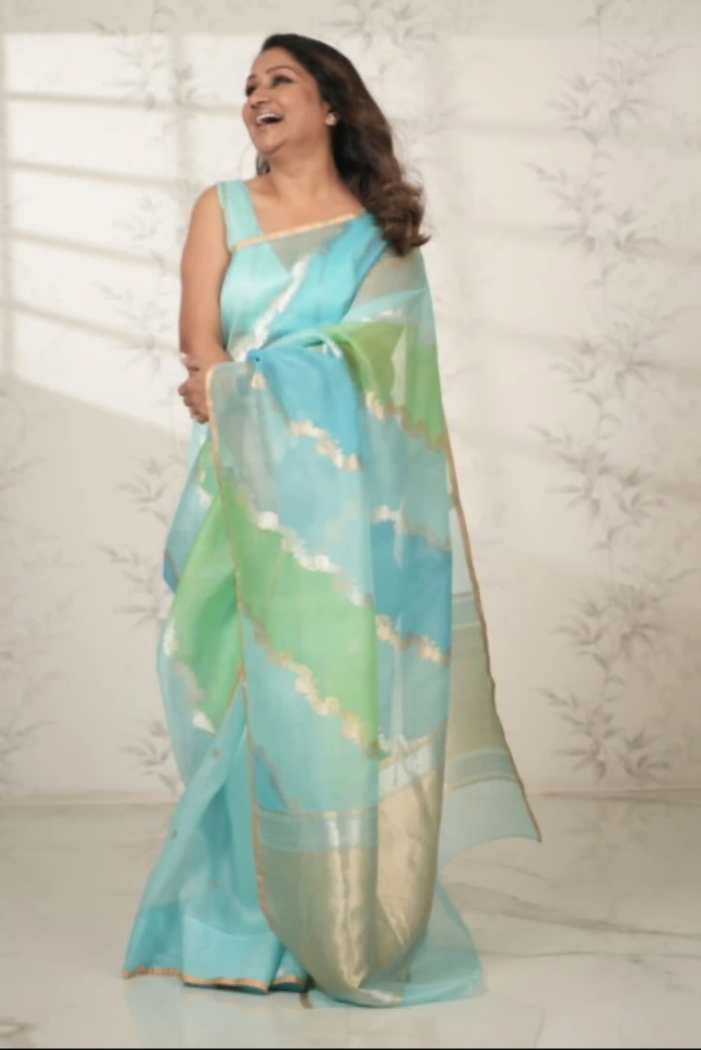 Handwoven Rangkat Banarasi Organza Silk Saree Saree