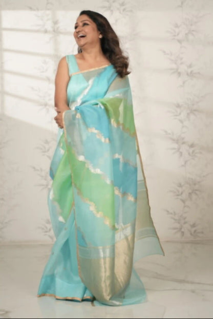 Handwoven Rangkat Banarasi Organza Silk Saree Saree