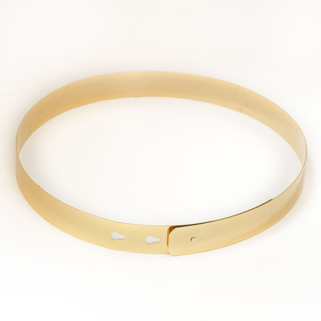 Golden Metallic Saree Belt