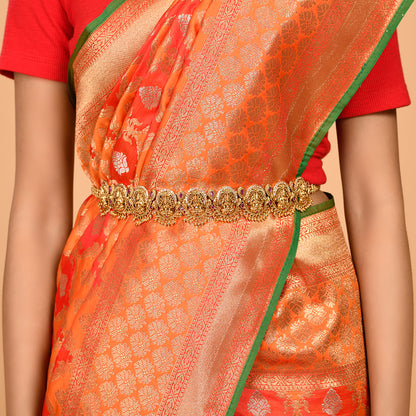 Flower motifs covering Banarasi Saree Saree