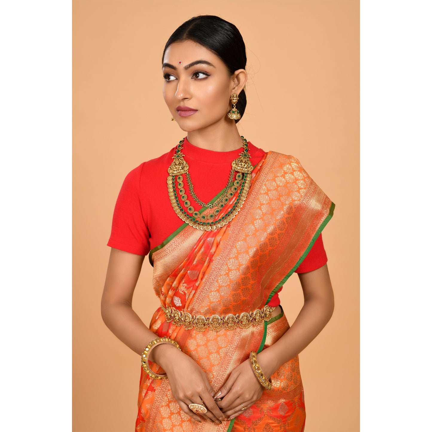 Flower motifs covering Banarasi Saree Saree