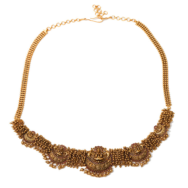 Kamarbands(DDS1B513G) kamarbands