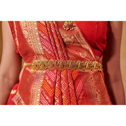 Zari Bandhej Saree Saree
