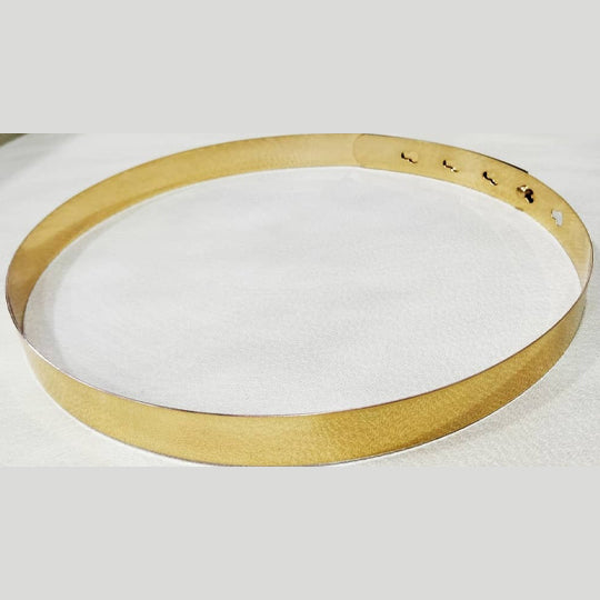Golden Metallic Saree Belt Belts